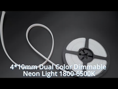 neony led 0410 dwukolorowe