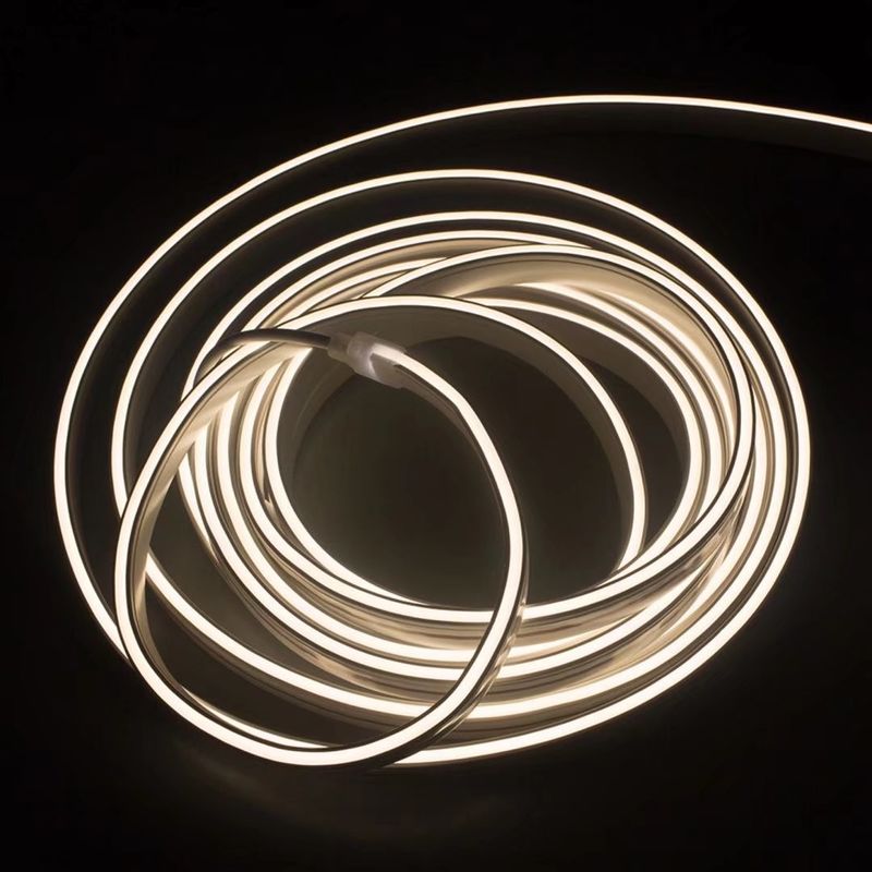 Elastyczny silikonowy pasek neonowy LED Lights Zmienny kolor Outdoor IP65 IP67
