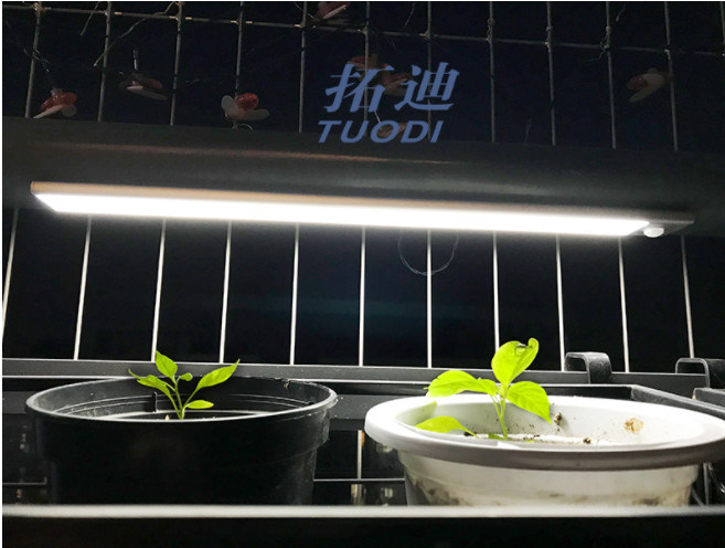 Bezprzewodowy akumulator USB Elastyczny czujnik ruchu LED Oświetlenie szafki pod ladą Oświetlenie szafy