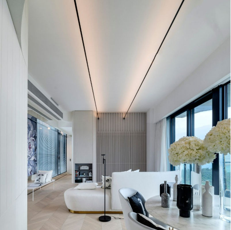 Oświetlenie wewnętrzne Skyline Liniowe światło 14,4 W 120 ° 4 m 5 m 6 m 8 m Led Flex String Light